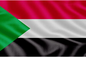 Roaming_0020_vecteezy_flag-of-sudan-realistic-waving-flag-3d-render-illustration_7977458